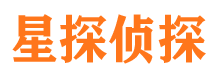 高安商务调查